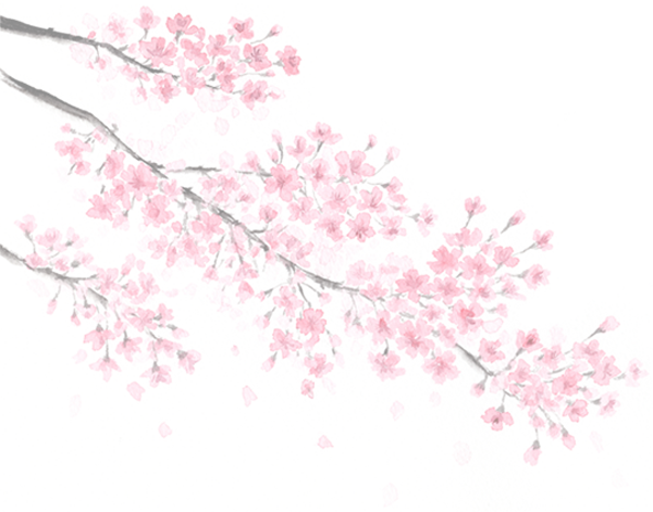 イラスト